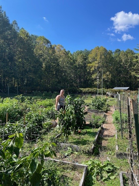 person working in a garden