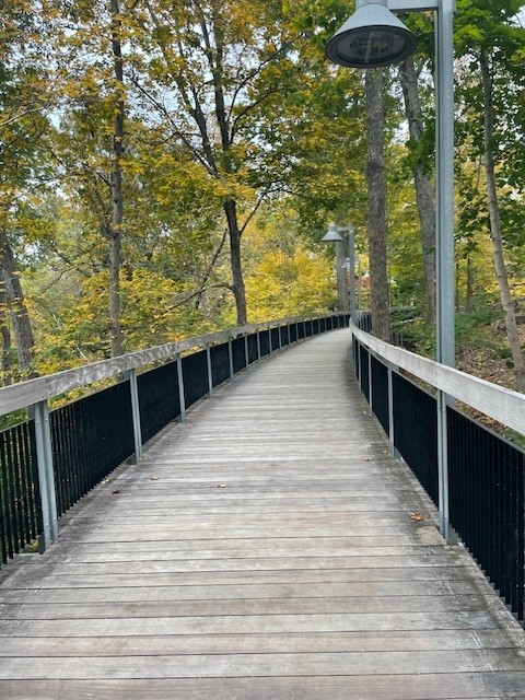 W&L bridge to Elrod Commons surrounded by trees